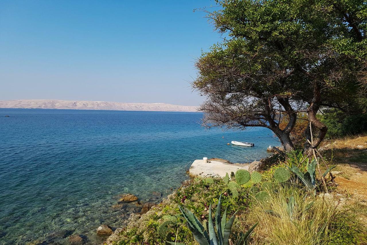 Beachfront House Ivana With Pool - Renovated 2025 Cesarica Exteriör bild