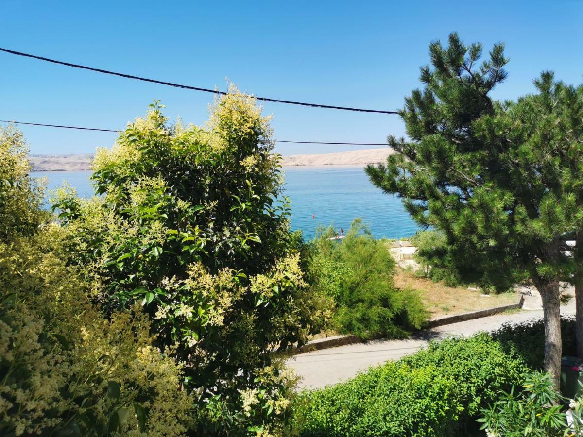 Beachfront House Ivana With Pool - Renovated 2025 Cesarica Exteriör bild
